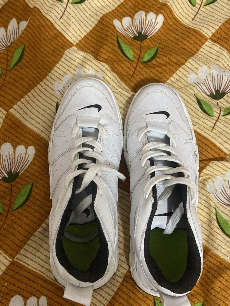 shoe (Coins Not Acceptable)