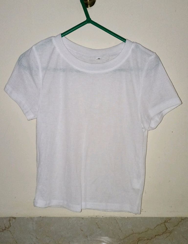 Sheer Crop Top
