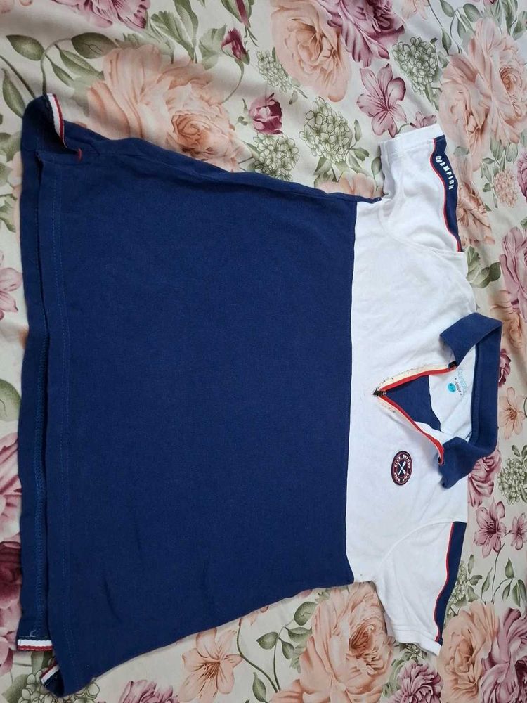 Stylish Polo T-Shirt - Blue &amp; White