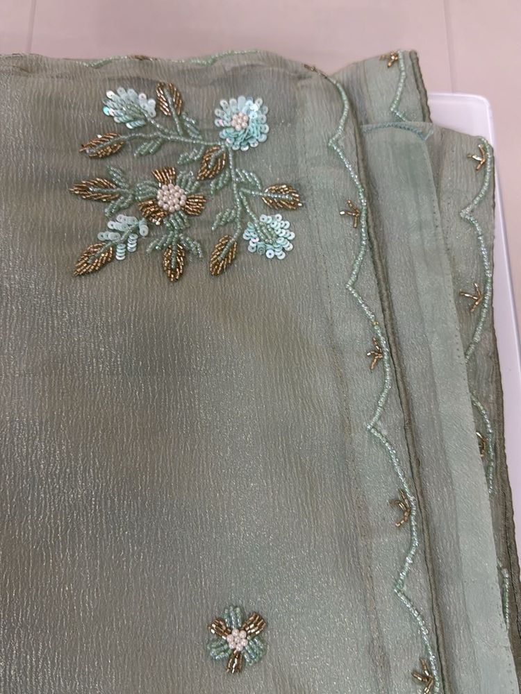 Elegant Embellished Saree