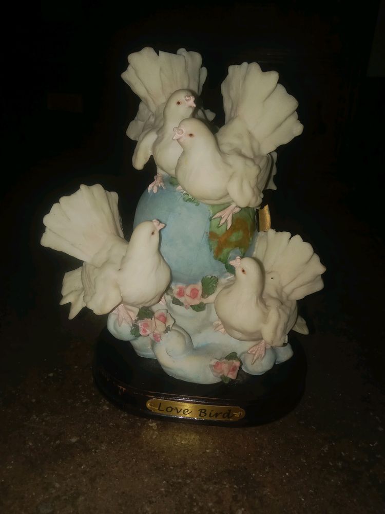 Bird Showcase