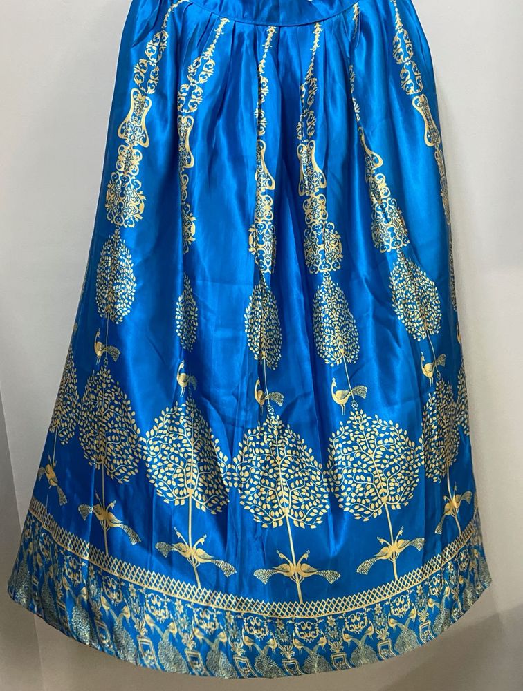 Beautiful Lehenga Skirt