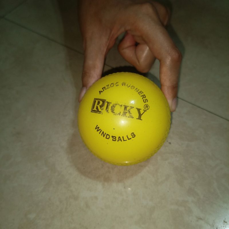 ARRZOO RUBBERS RICKY Wind Ball Cricket Training