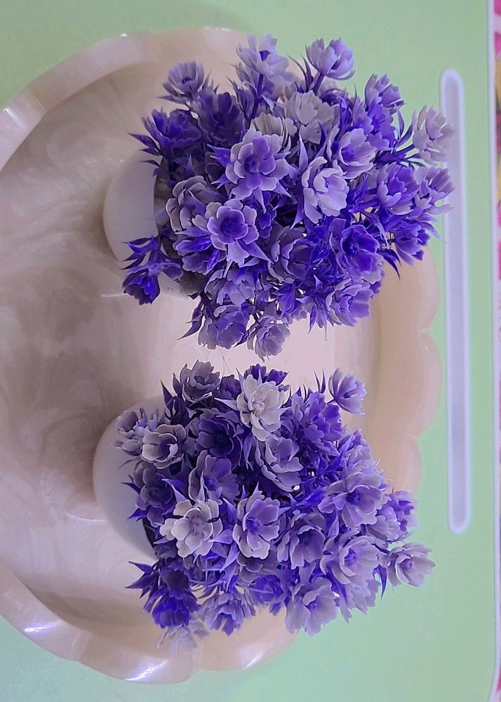 Plastic Flower Pots