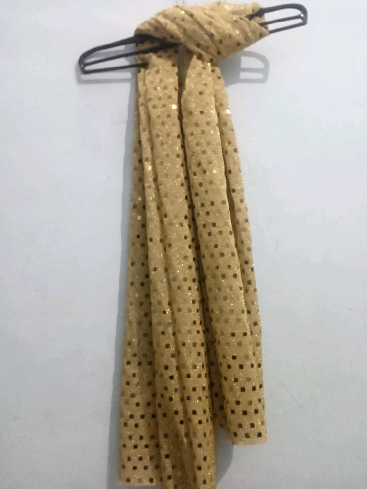 Shimmery Partywear Hizab Stoloe