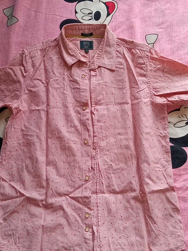Indian Terrain Boys Shirt