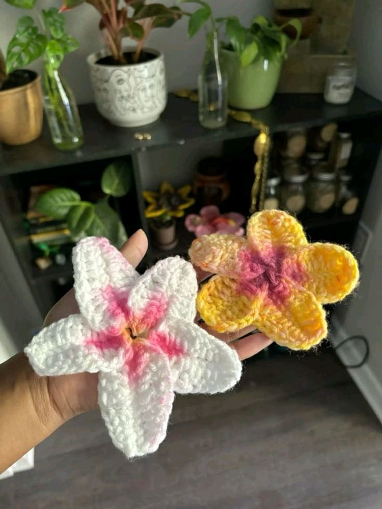 Crochet Bali Clip 🎀🌼