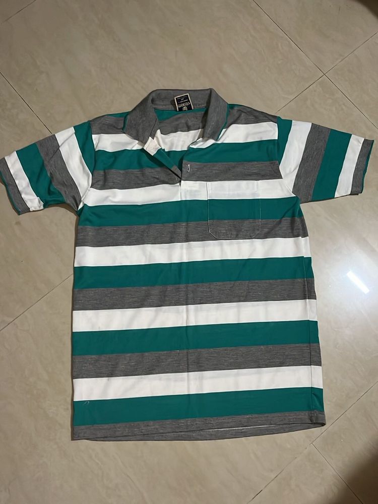 Daily Wear polo T-Shirt For Men