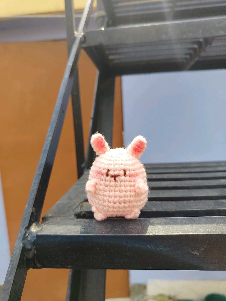 Cute Pink Teddy