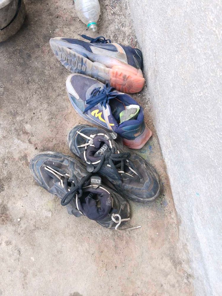Chapri Shoes