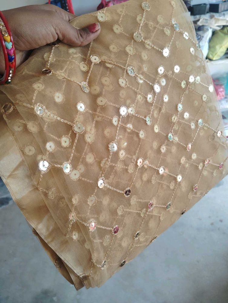 Gold Embellished Dupatta