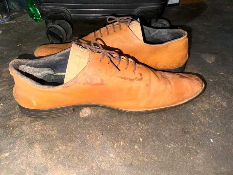 Formal Doncasterr Brand Shoes
