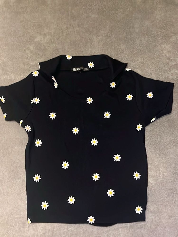 U Neck Fitted  Collared Top