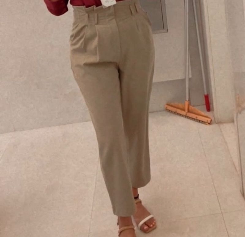 Beige  Formal Pant