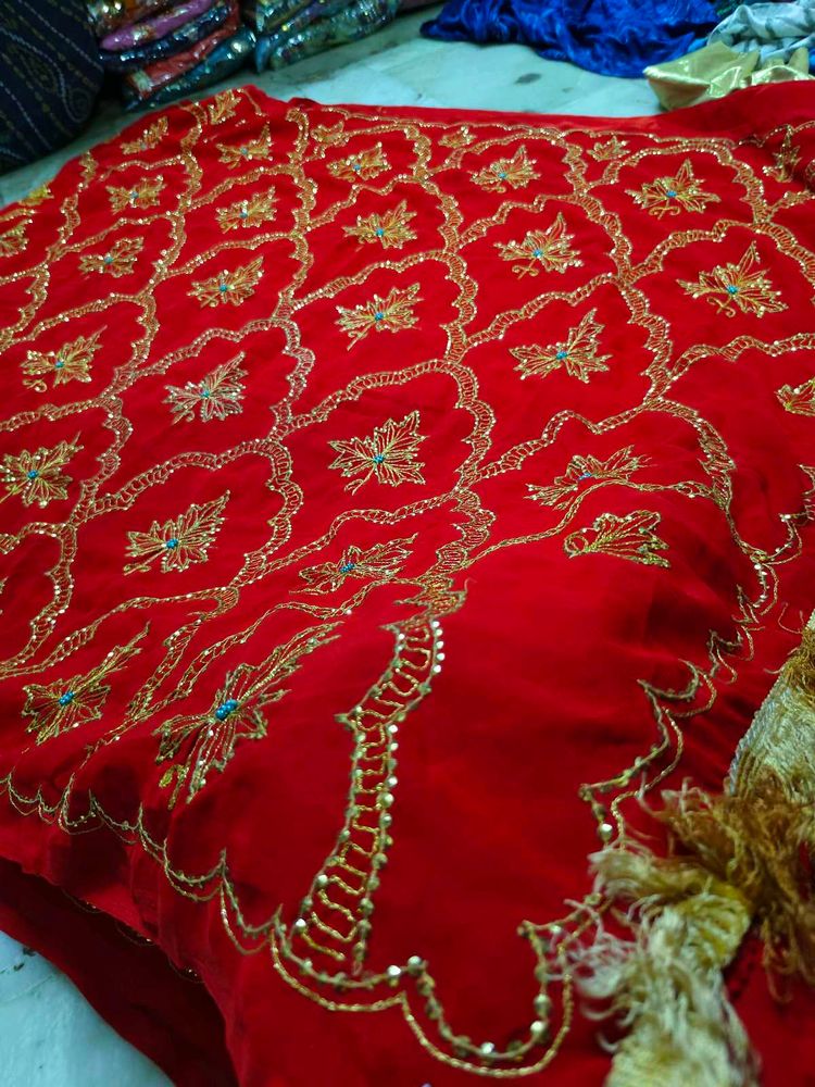 Aari Tari Zari Red ♥️ Saree ✨