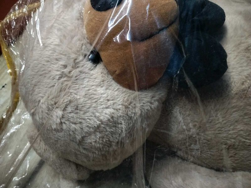 Teddy Bear 🧸🧸🧸