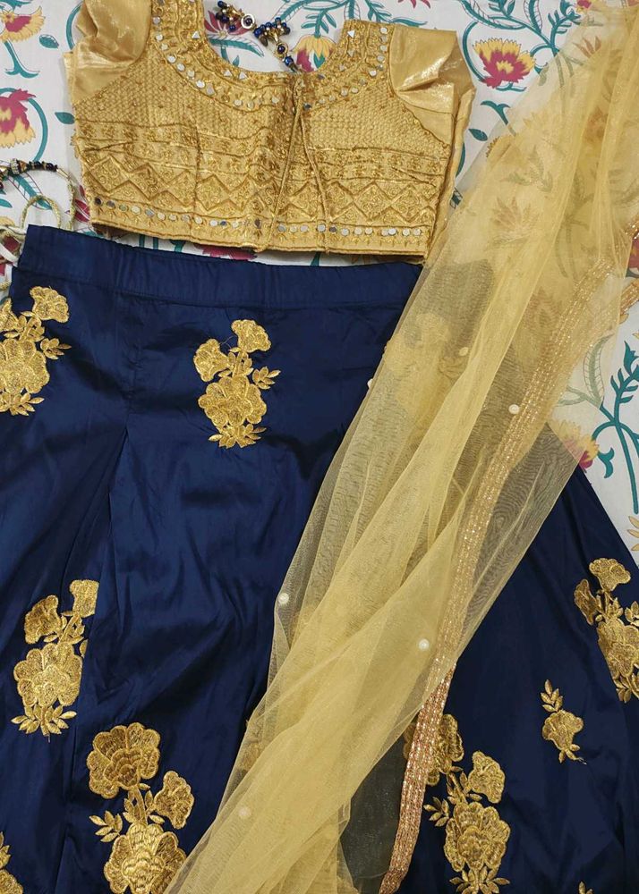 Lehenga For Wedding Or Festival