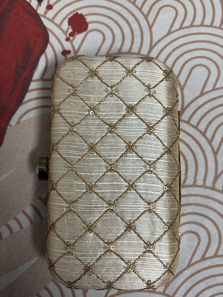 Elegant Women Clutch