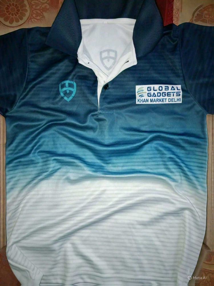 THE BLUE OMBRE DELHI&#39;S T-SHIRT