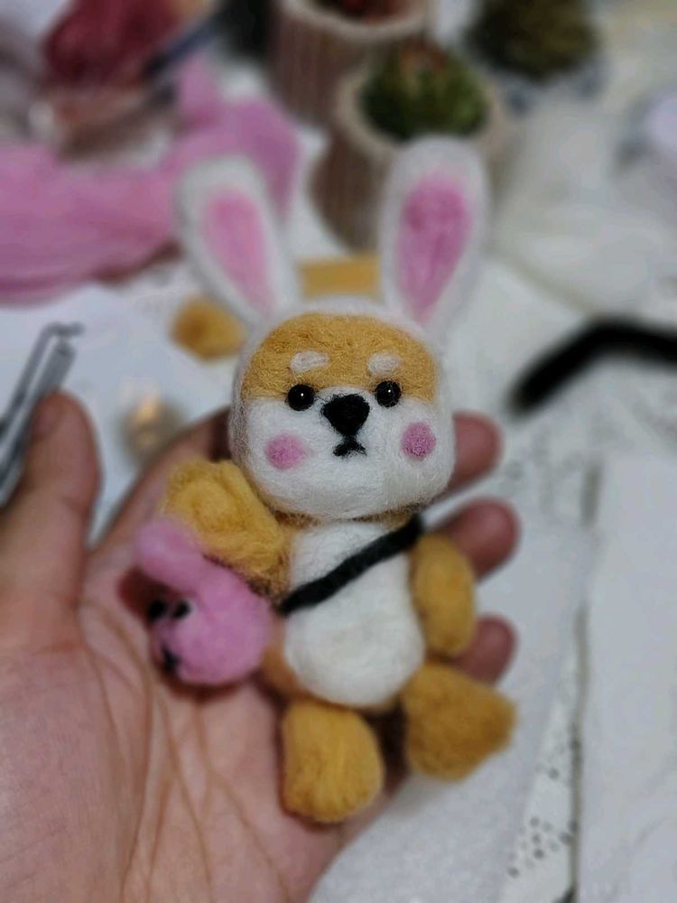 Miniature Rabbit Inu Shibuya