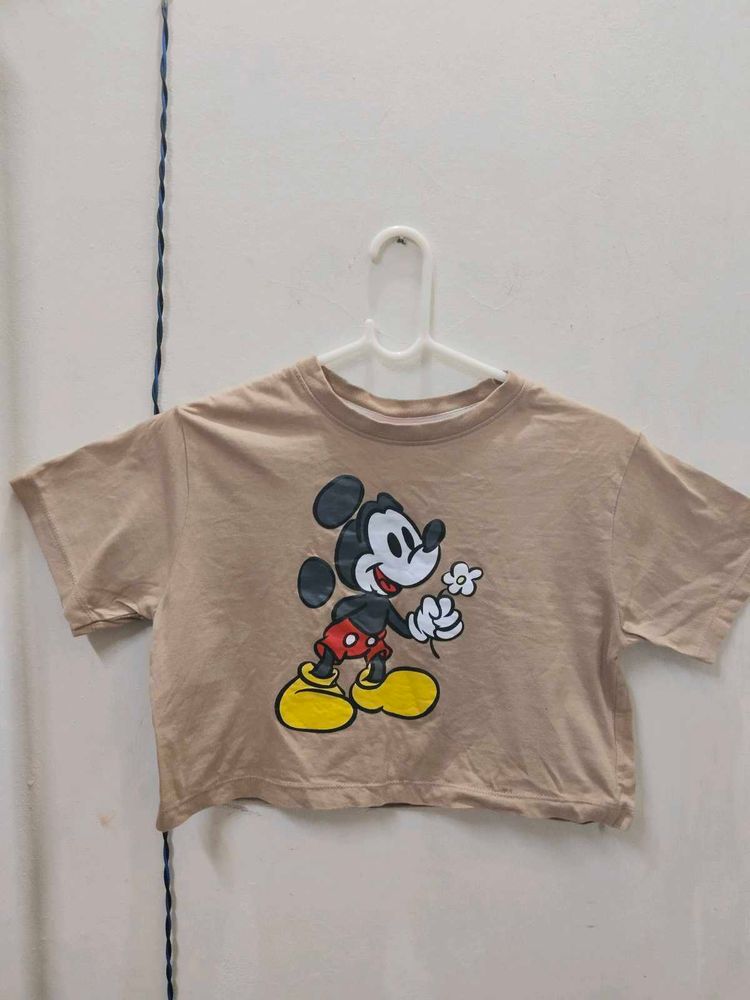 Aesthetic Beige Crop Top