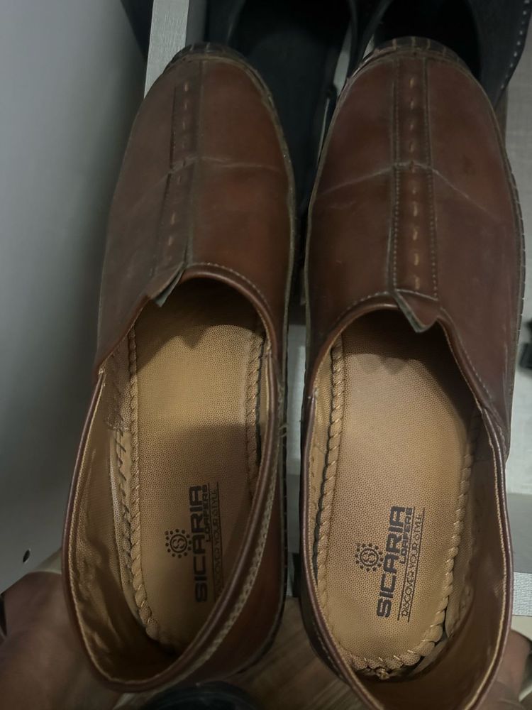 Sicaria Tan Bellies Wore Thrice Only With Box