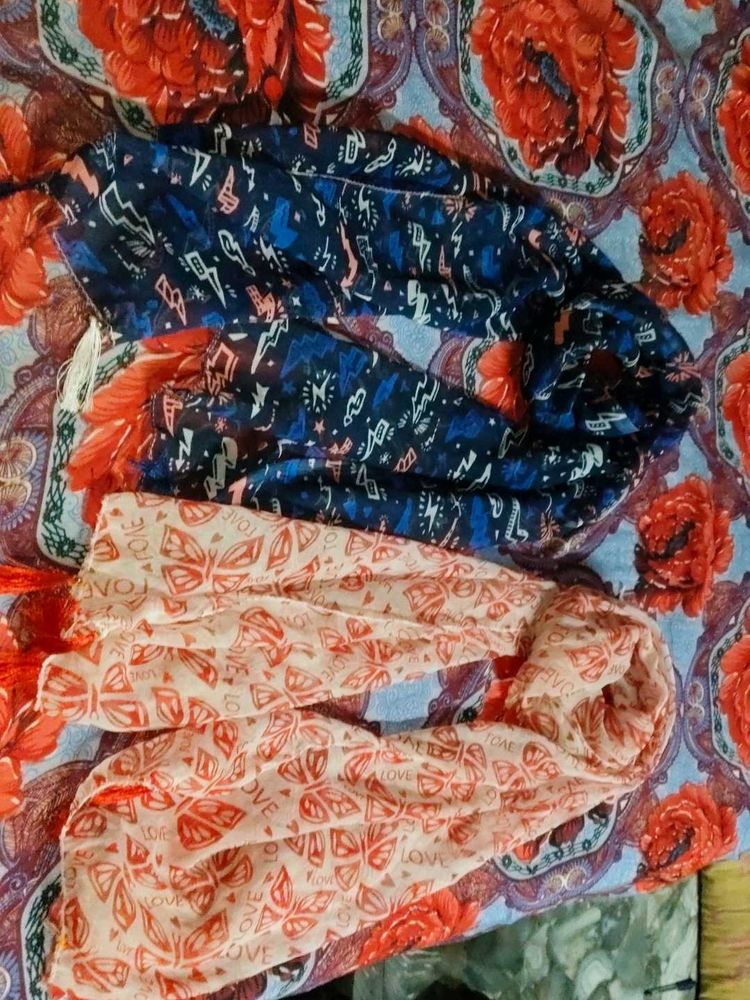 🧣
