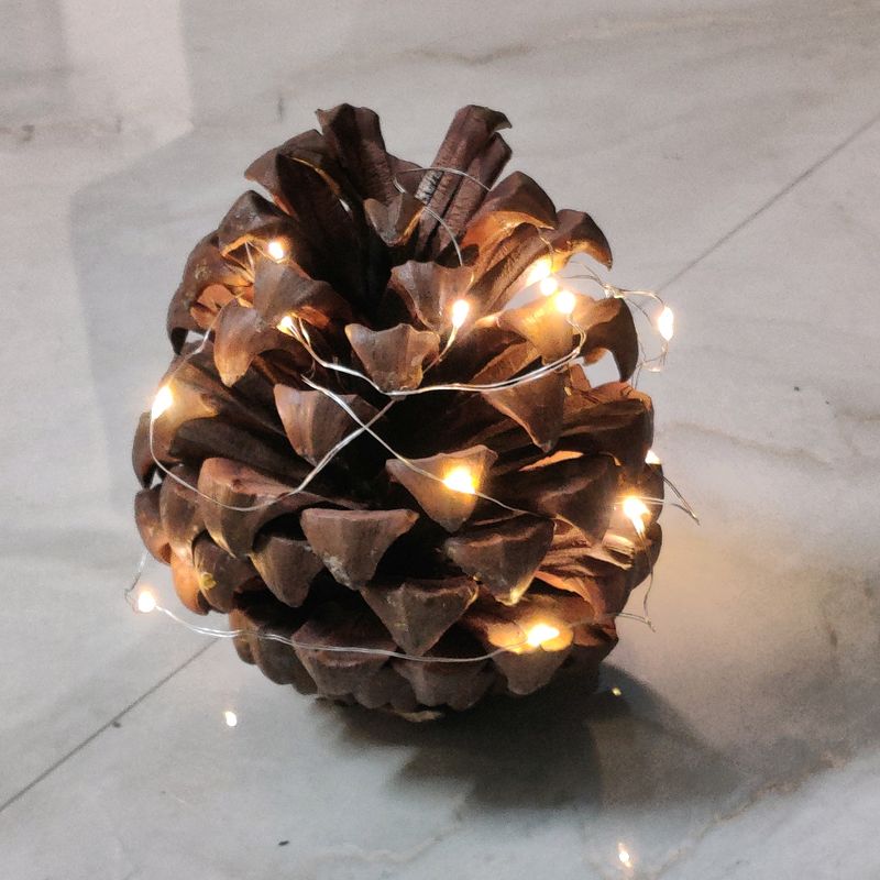 1 Pine Cone And Battery LED Light