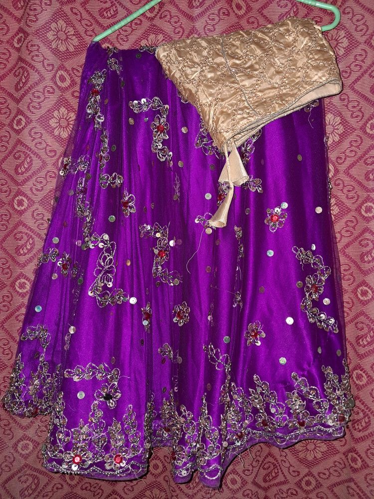 Today Price  Purple Lehgha