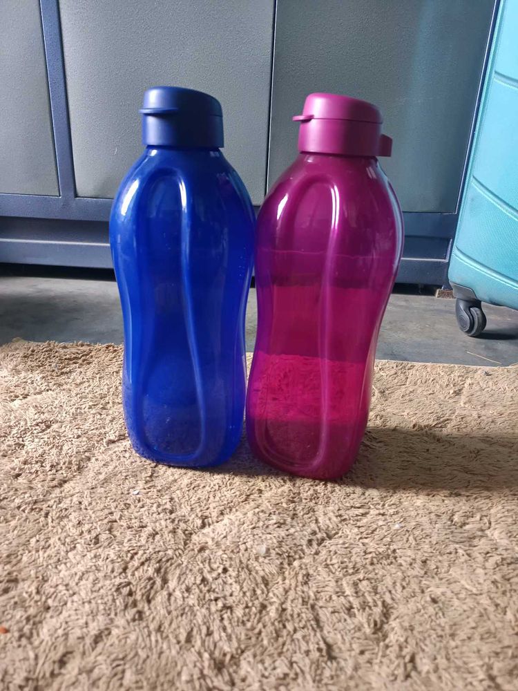 Tupperware Water Bottles (Set of 2)