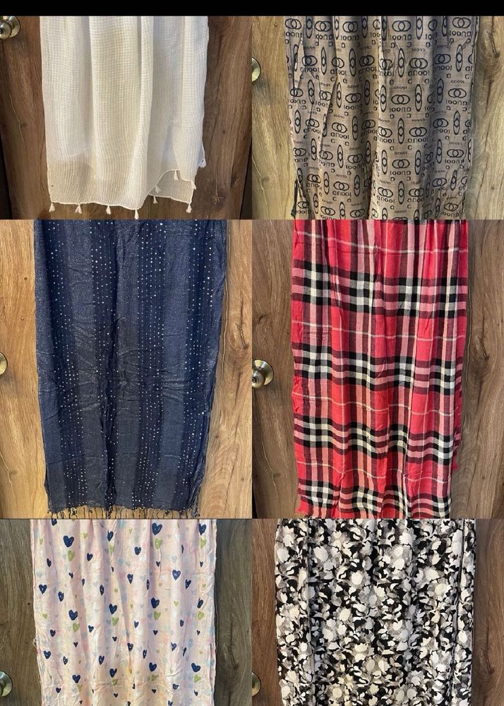 Assorted Women's Scarves - Great Variety!