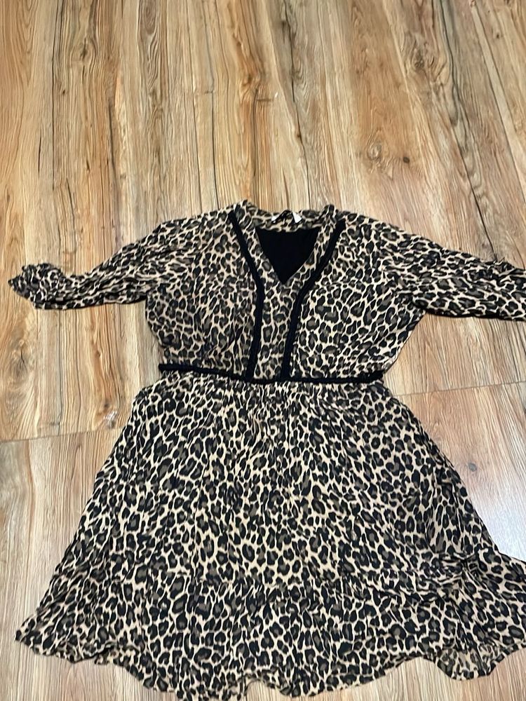 Leopard Print Mini Dress