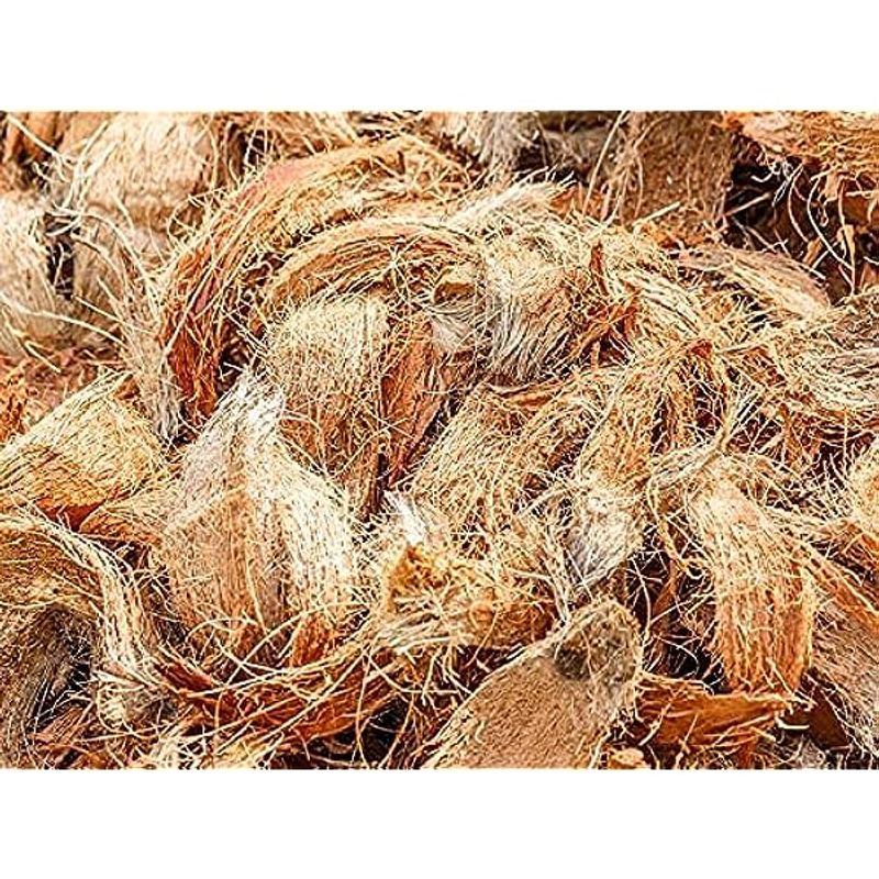 Indian Sage Coconut Husk