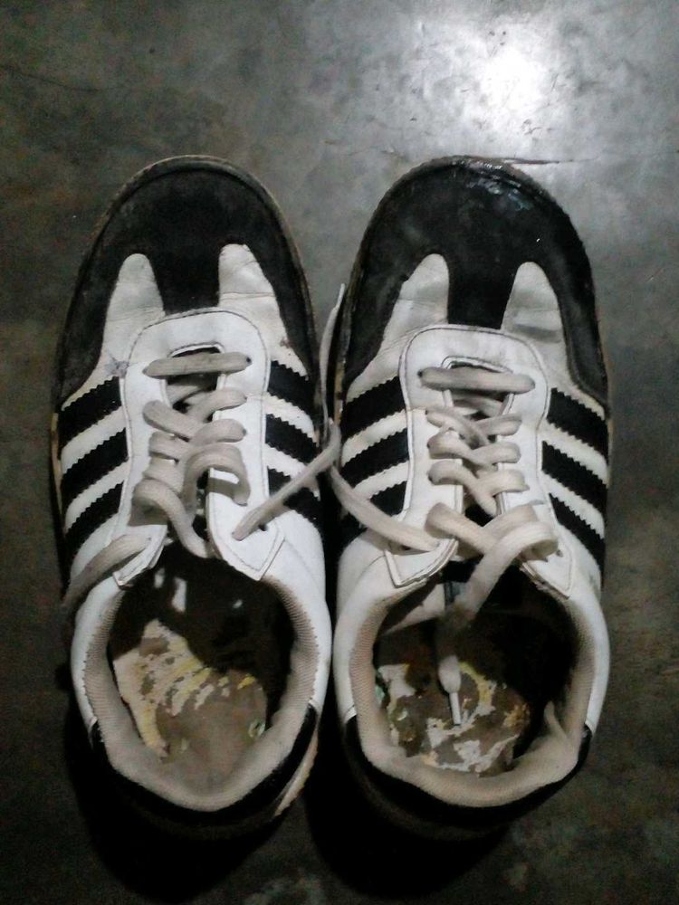 Classic Sneakers