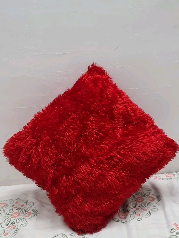 Square  Fur Pillow
