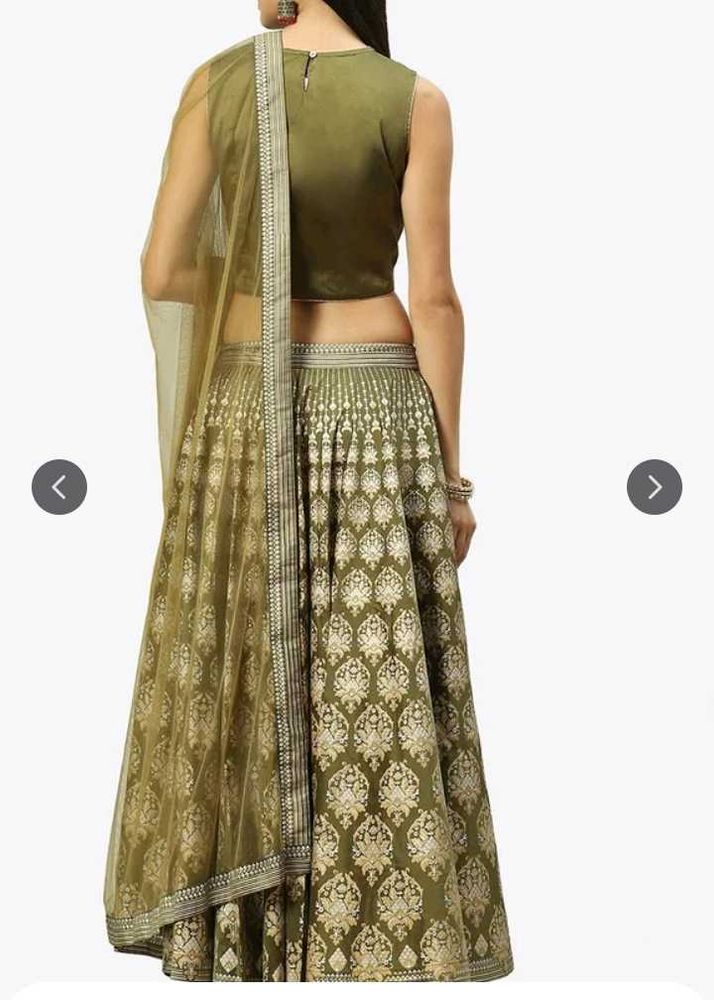 Olive Green Lehenga Choli