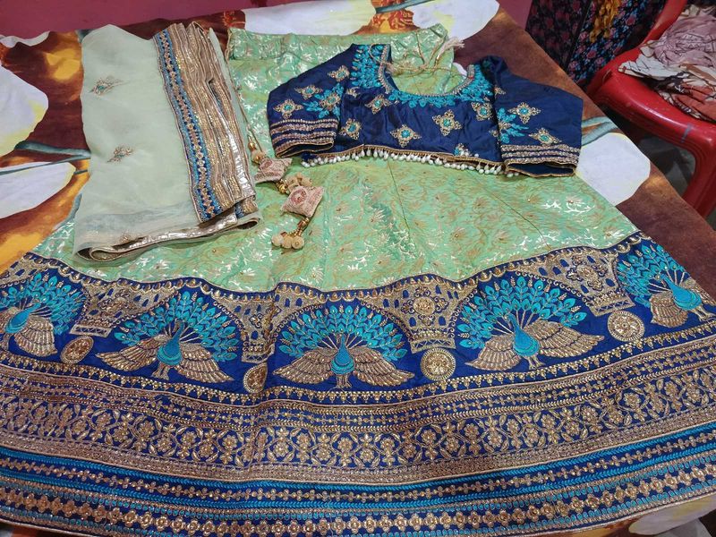 Bridal Tranding Heavy work peacock zari Lehenga