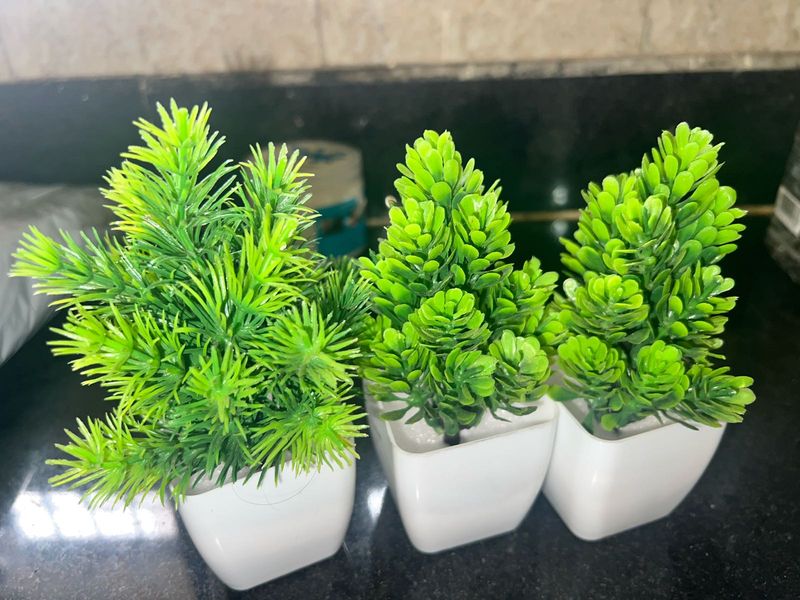 Miniature Artificial Plants (Set of 3)