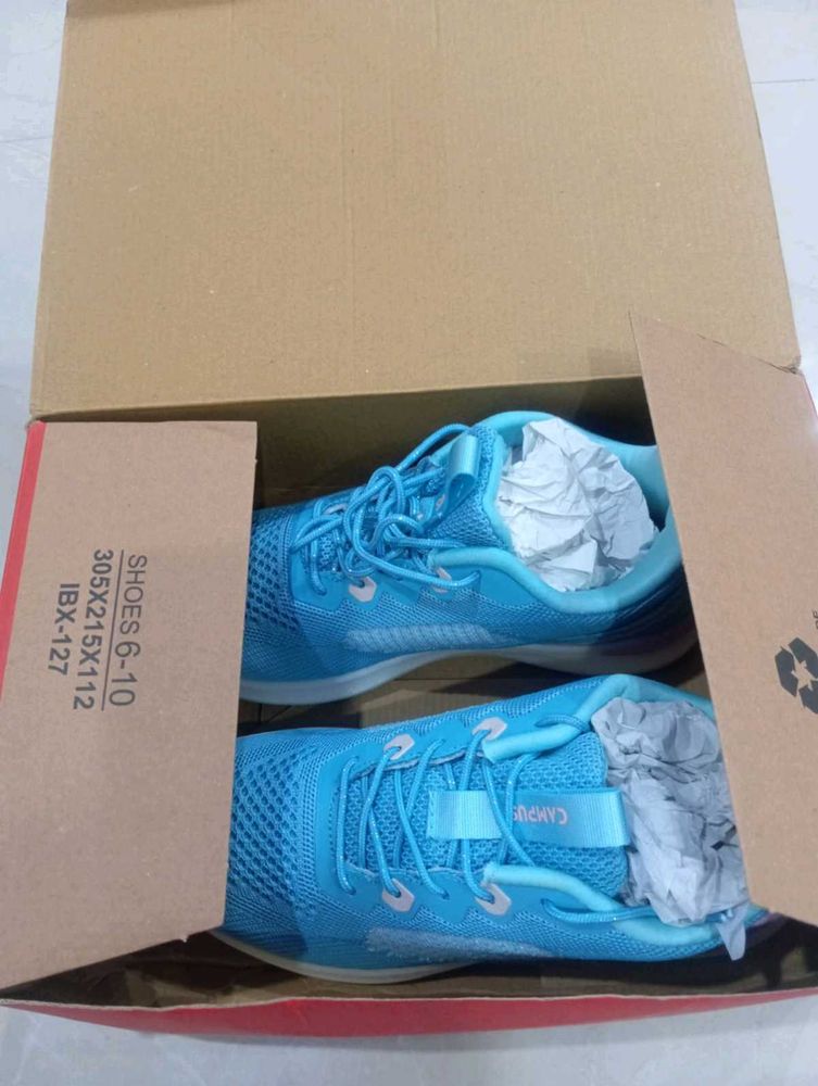 New Women Campus Branded Shoes