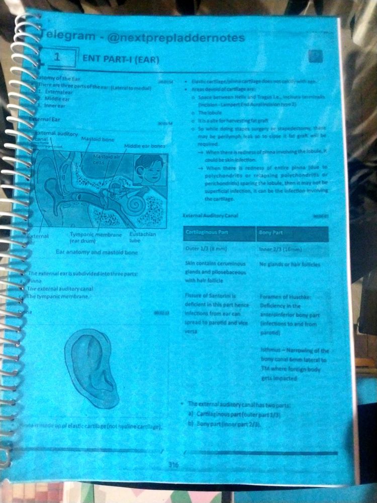 ✨New💙 Prepladder ENT RR-5.0 fmge Notes 🤍