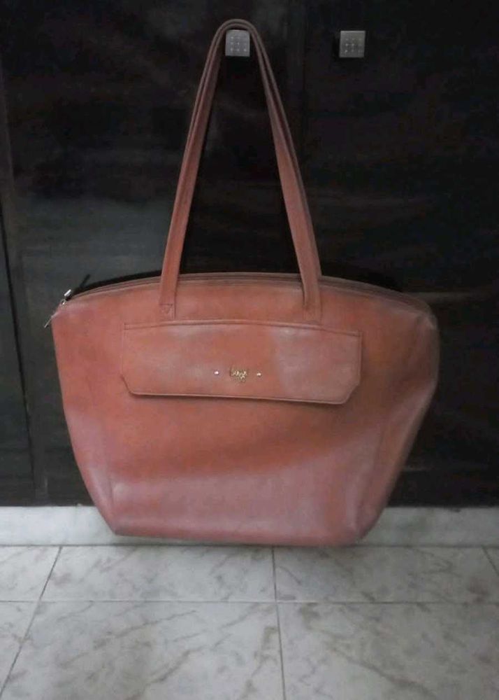 Baggit Handbag
