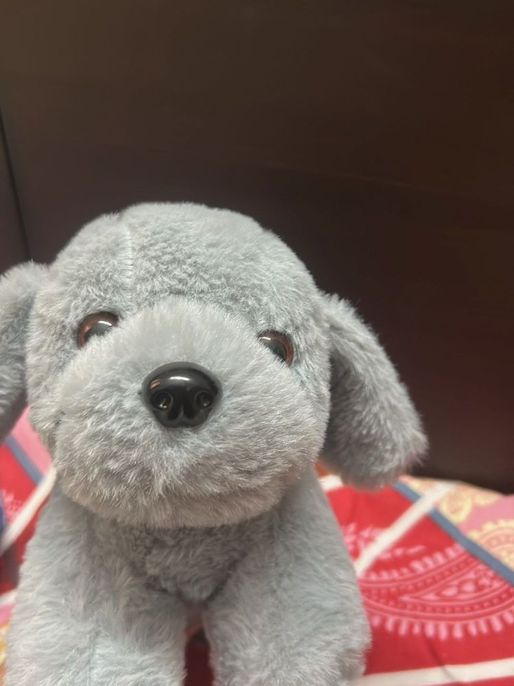 Cute Plush Puppy