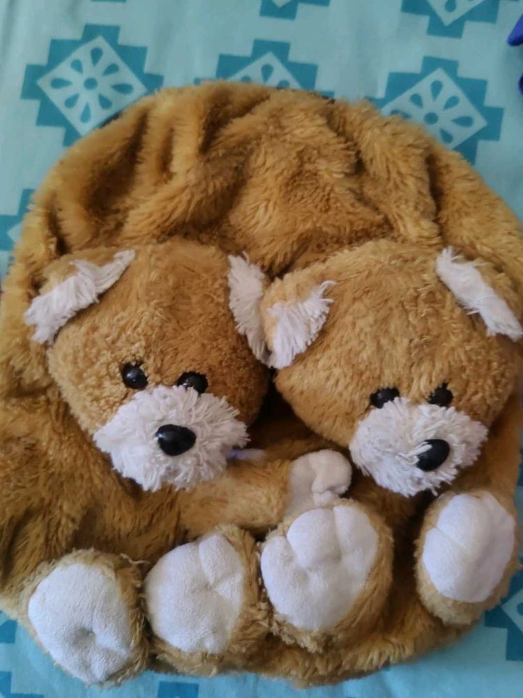 Teddy Bear bag for Kids