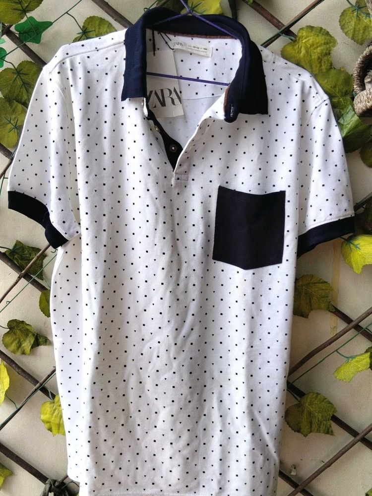Zara Polo T- Shirt