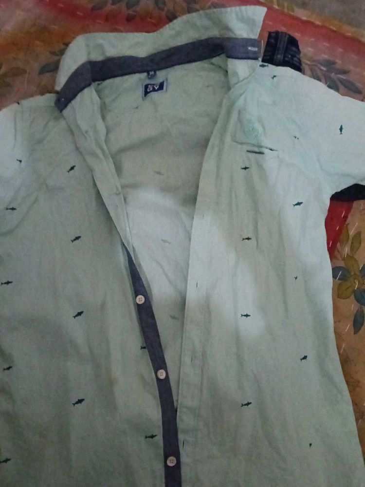 Stylish Light Green Shirt