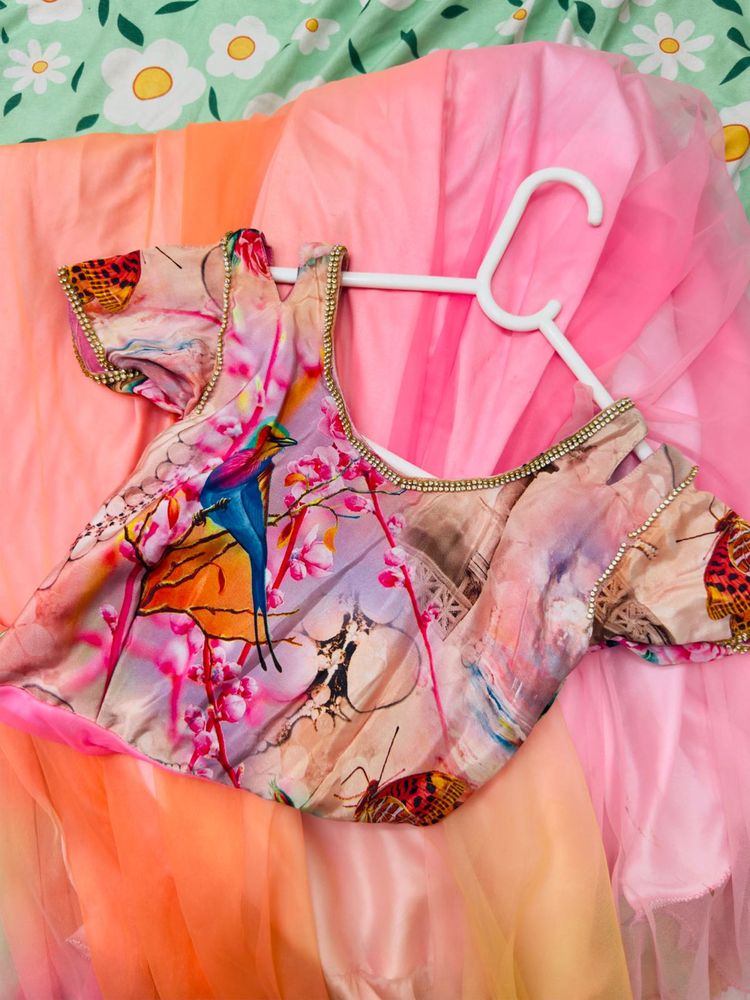 Pink Ombre Ethnic Gown