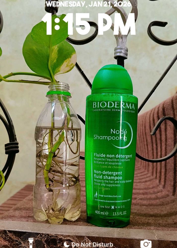 Bioderma Node Shampoo