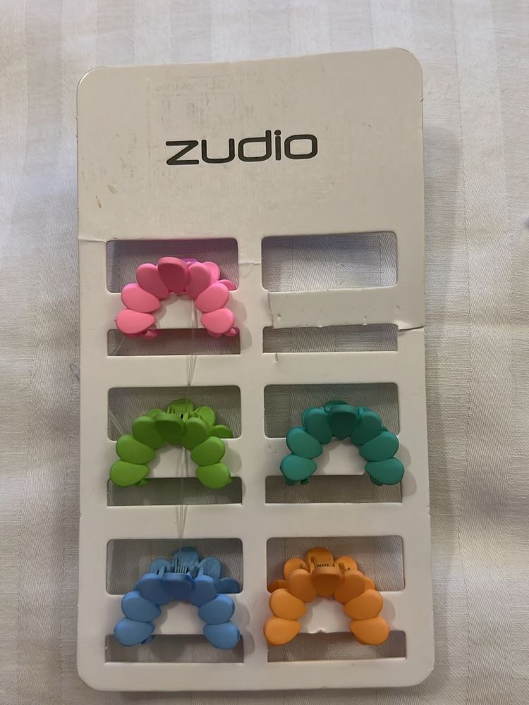 Zudio Set Of 5 Hair Clips