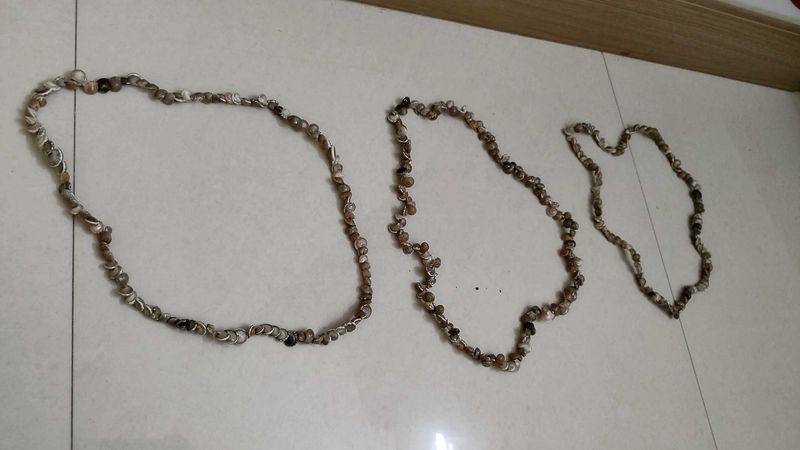 Seashell Necklace