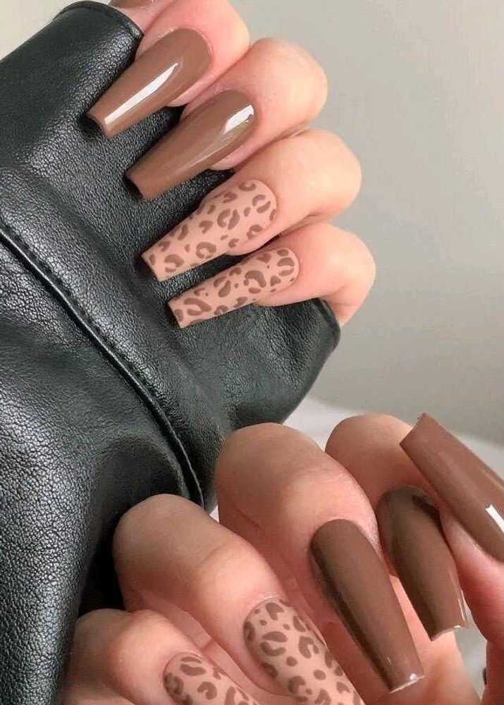Animal Print Press On Nails 🤎🧿